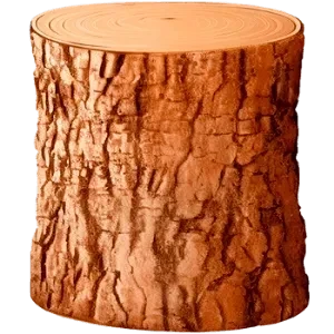 Dąb